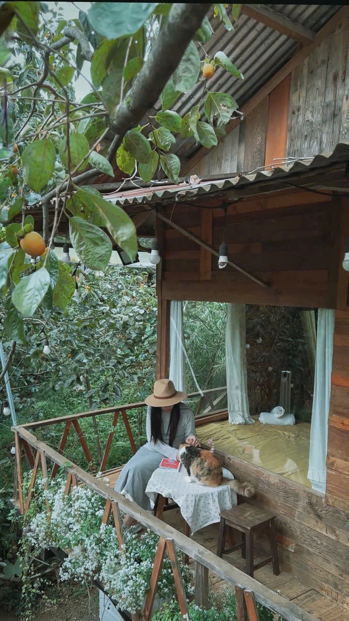 Home Đà Lạt - view đồi view vườn hồng xanh mát 🌿🌿🌿 - thuê homestay đà lạt ảnh 4