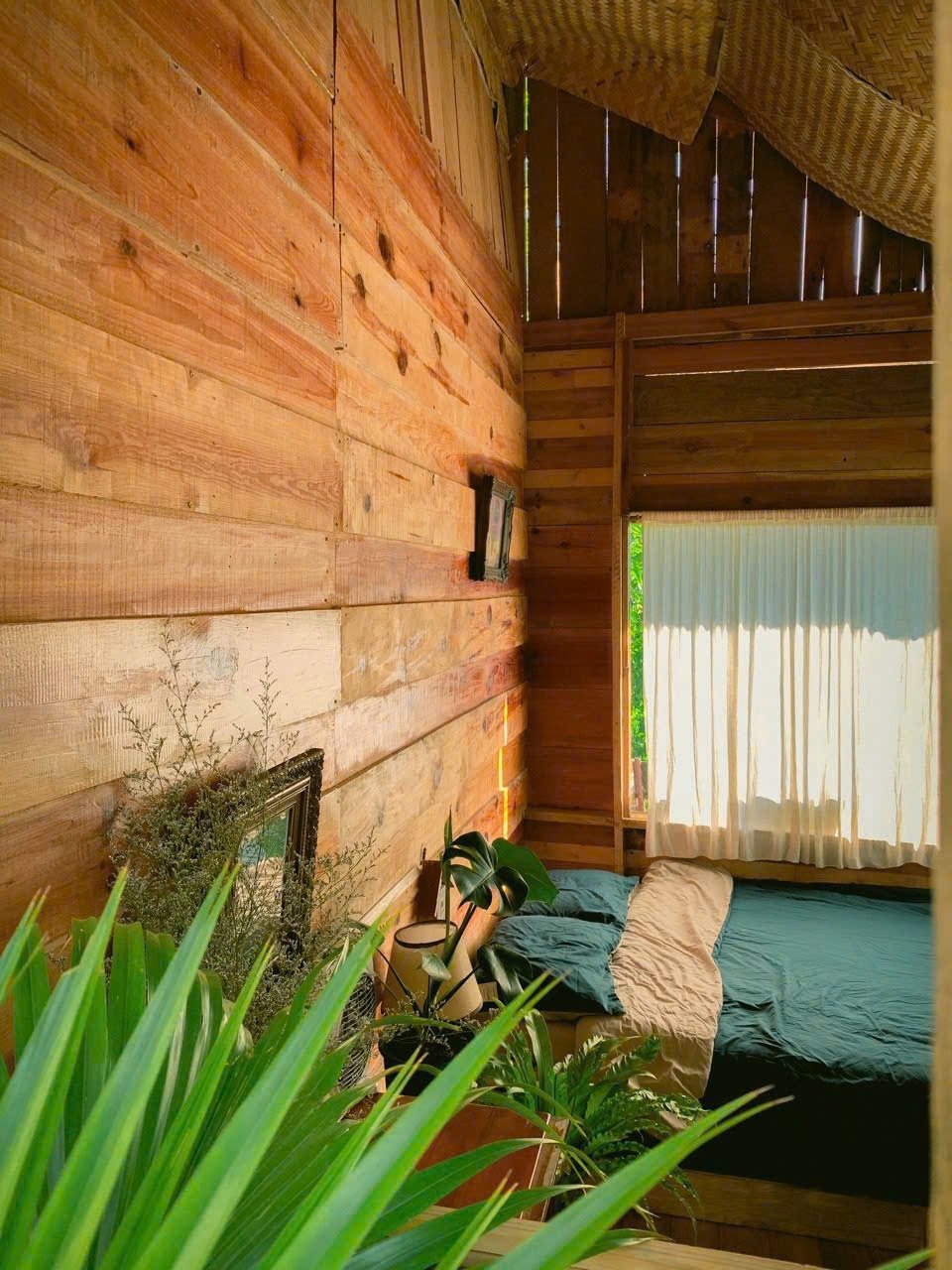 Home Đà Lạt - view đồi view vườn hồng xanh mát 🌿🌿🌿 - thuê homestay đà lạt ảnh 5