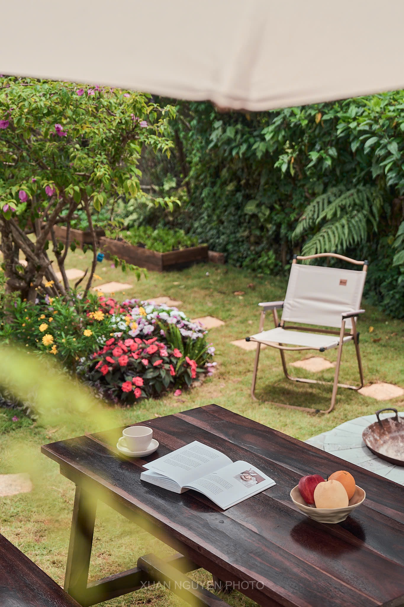 🌿 GÓC NHỎ HEALING GIỮA TRUNG TÂM ĐÀ LẠT - thuê homestay đà lạt ảnh 4