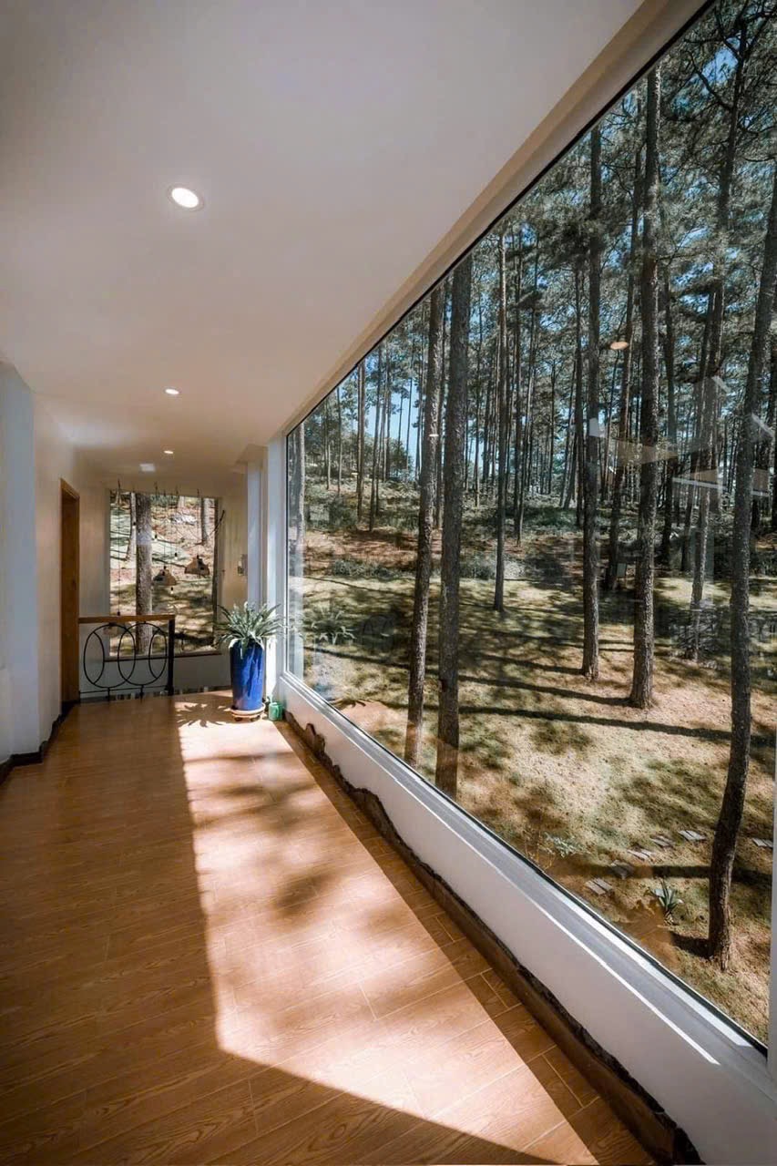 🏕️ Căn Villa nằm trong rừng thông, view nhìn ra hồ Tuyền Lâm - thuê villa đà lạt ảnh 5