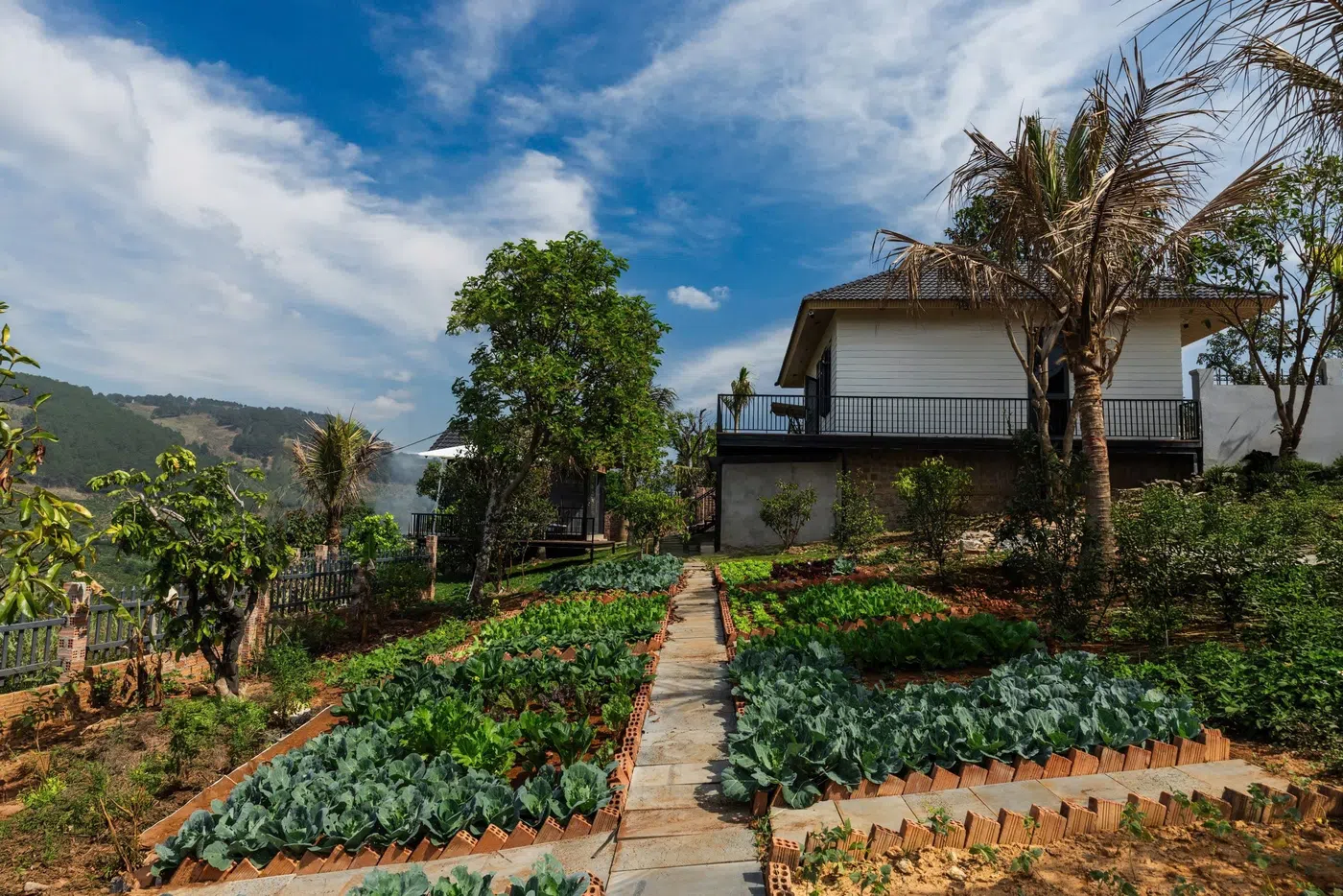 Villa ngoại ô view đẹp - thuê villa đà lạt ảnh 6